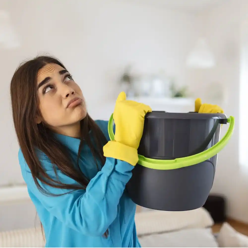 water damage restoration service Okemos
